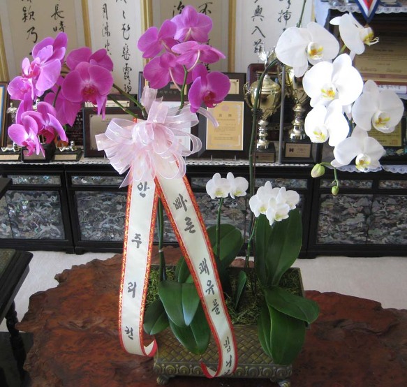 023EE23351DB3C060BDF85