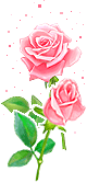 0306934D50A7323C1C3D99