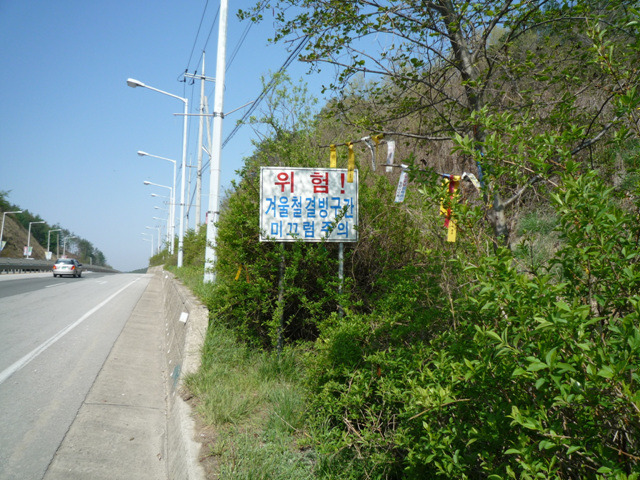 지우네꽃밭 이미지