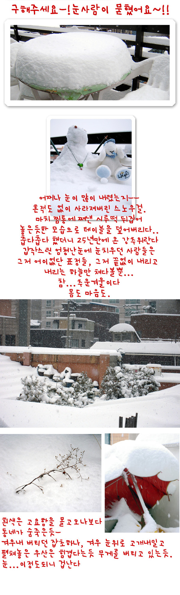 이번겨울, 행세 제대로하네
