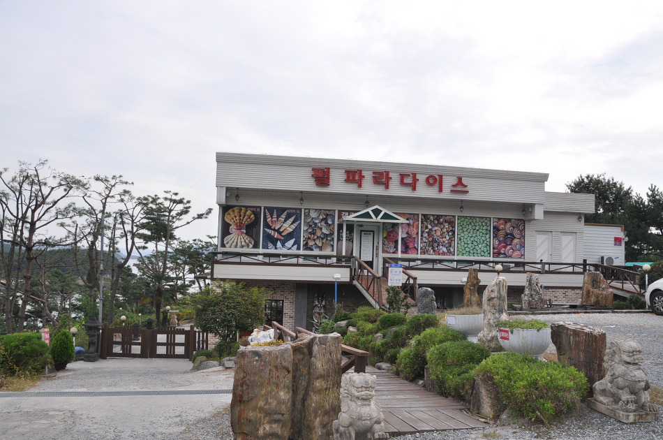 펄파라다이스경양식 이미지