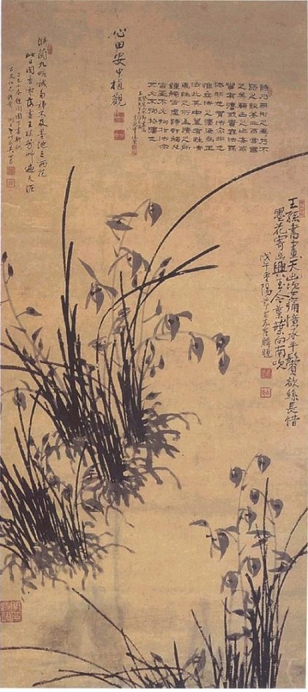 운미가 이미지