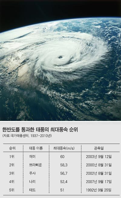 나리슈퍼 이미지