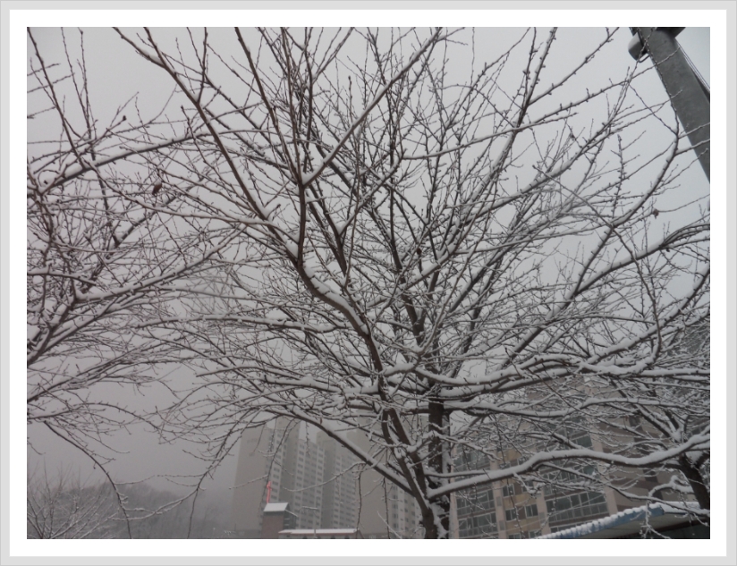 130199424D3D08330B5845