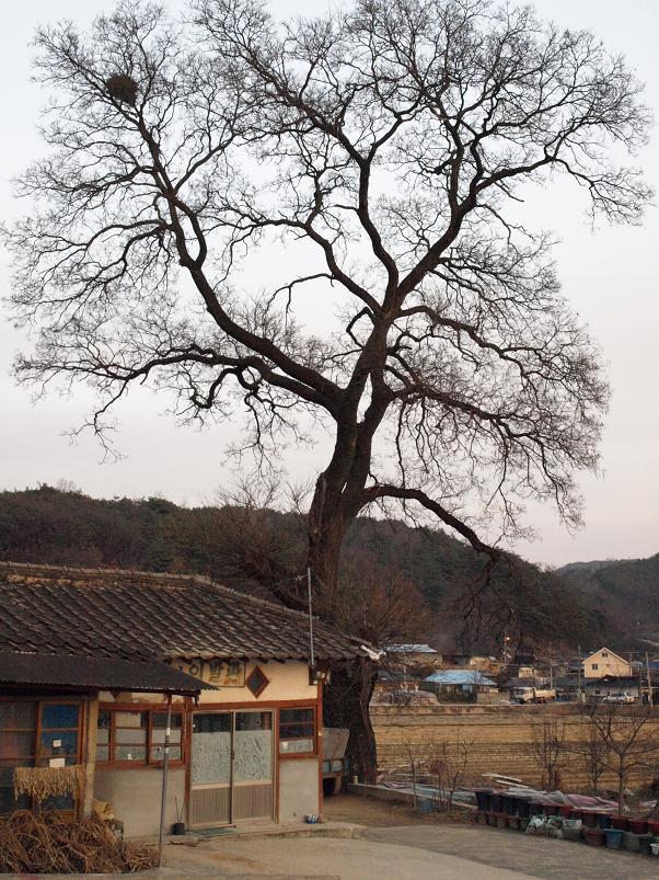 진이발관 이미지