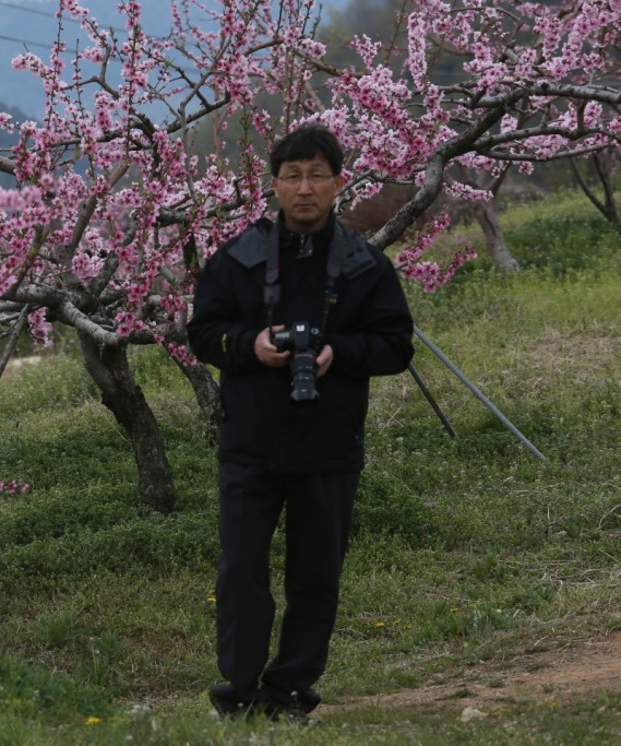 복숭아과수원 이미지