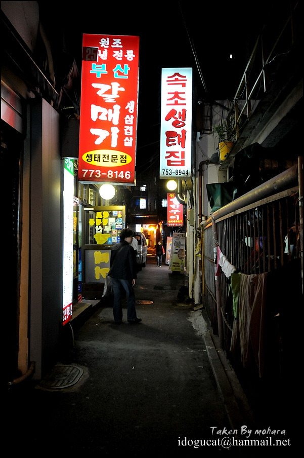 골목안 생태집 이미지