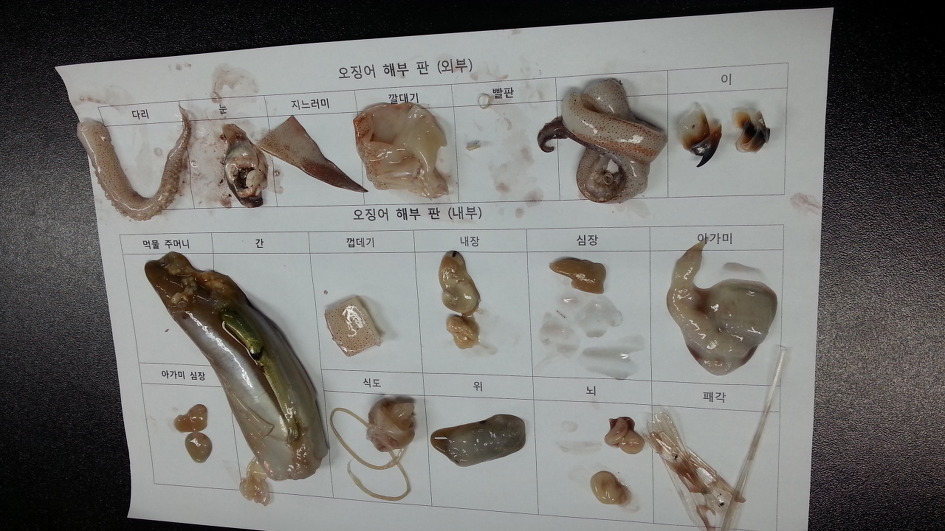 대성고등학교 이미지