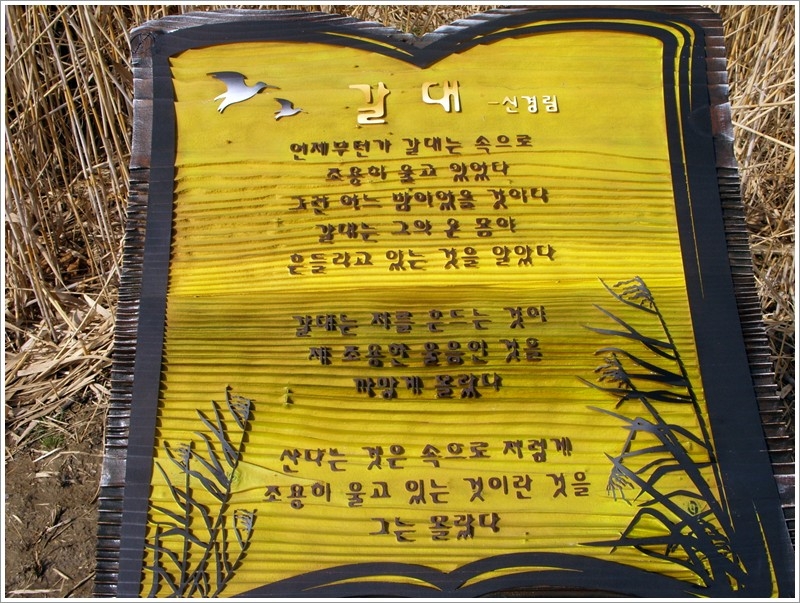 금강의자 이미지