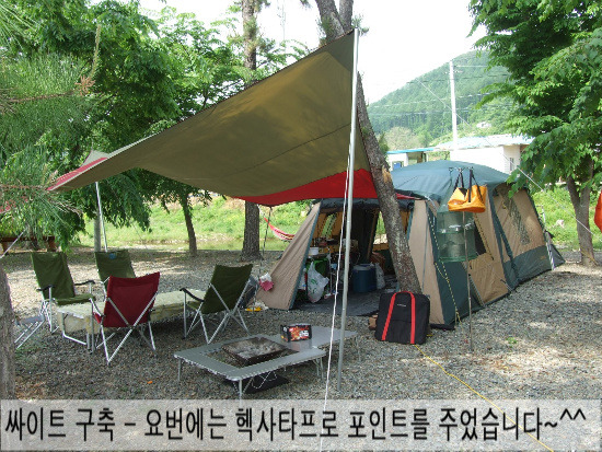 캠핑트리 이미지
