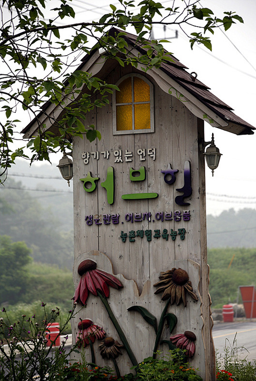 초록마을서울 이미지