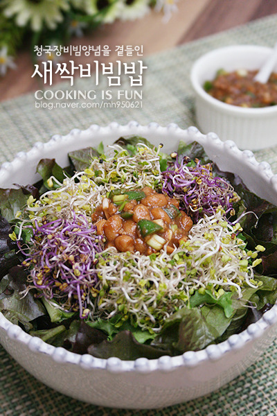 새싹비빔밥