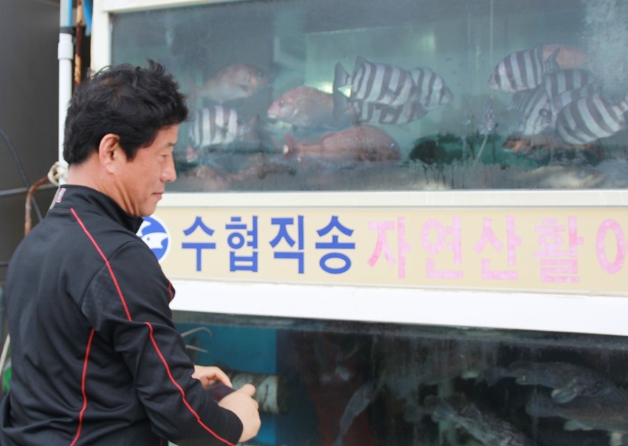 등대건어물 이미지