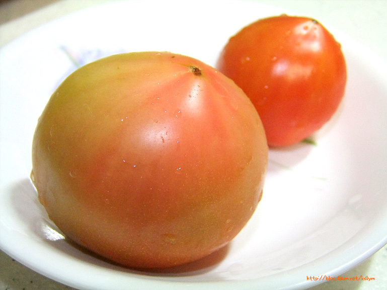 [중국식 토마토.계란볶음] 부드럽게!상큼하게! 그리고 건강하게!!