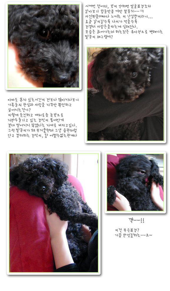 딸꾹이의 두얼굴