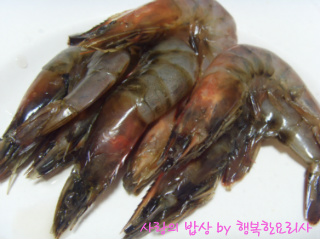 파이시스 이미지