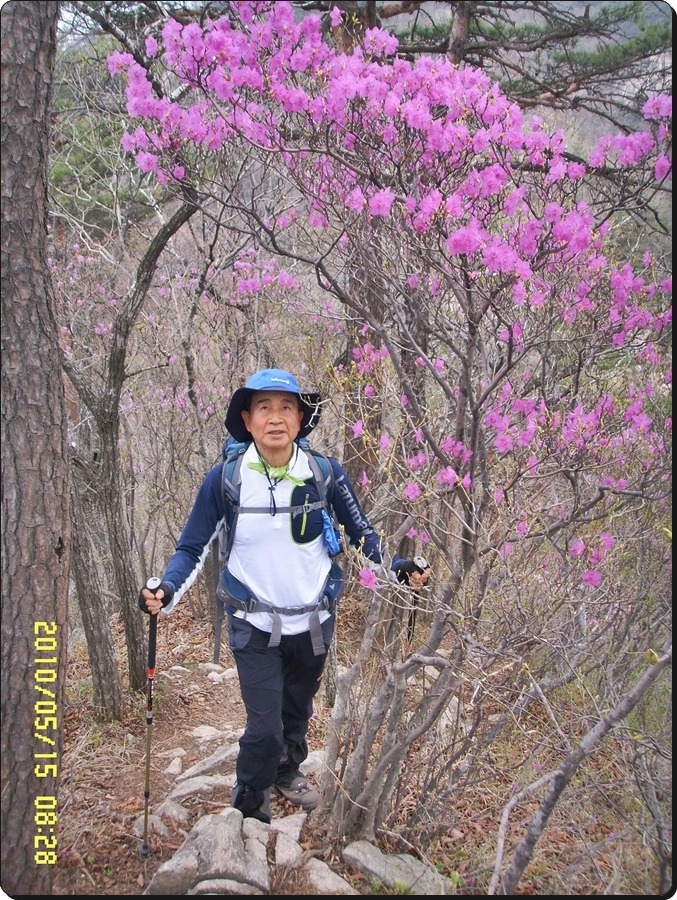 대미산, 포암산 이미지