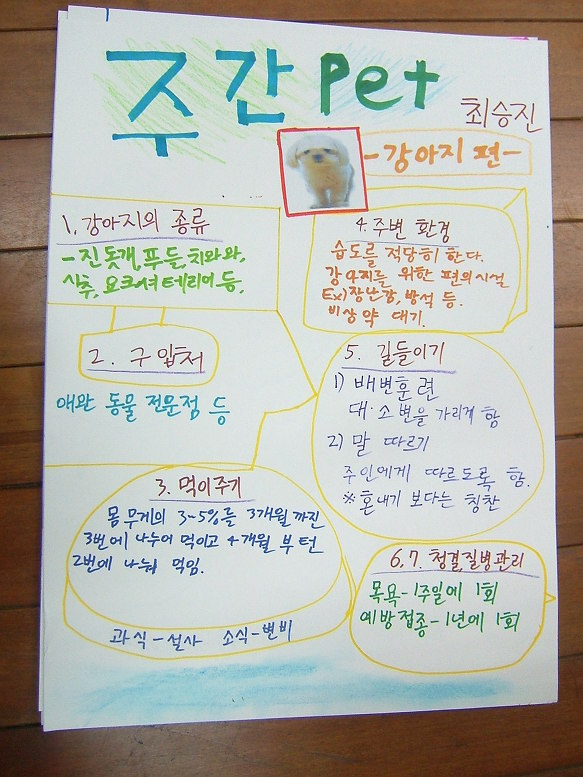 6학년 실과-- 애완동물 기르기 (1)