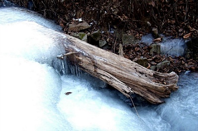 2012년12월9일=포항 내연산(문수봉.삼지봉)