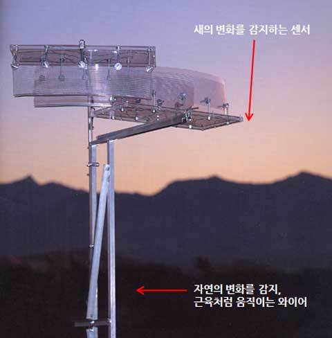 버드에너지 이미지