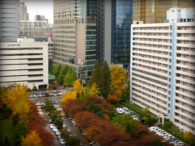 1731FF0E4AF664FA3B52CC