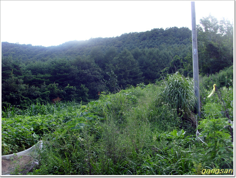 낙동정맥 14구간(한티재~시티재) 땜빵