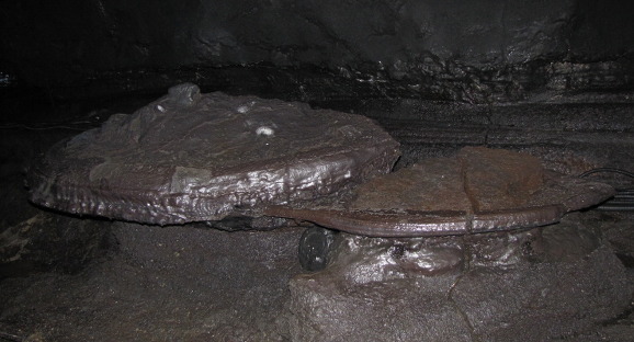 이미지 전체보기