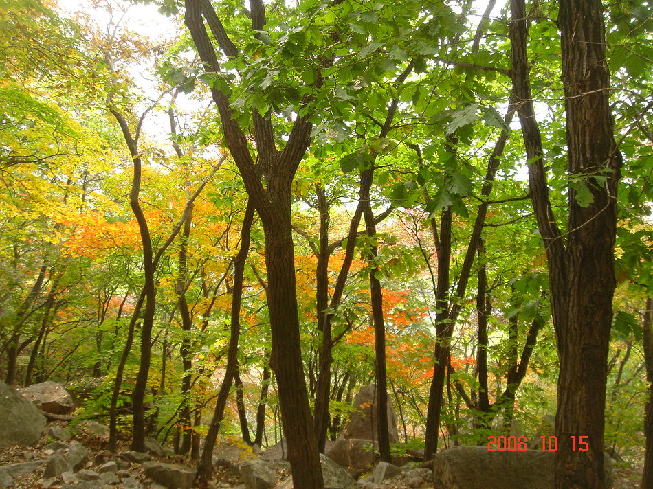  ‘클라우드 컴퓨팅, IT산... 