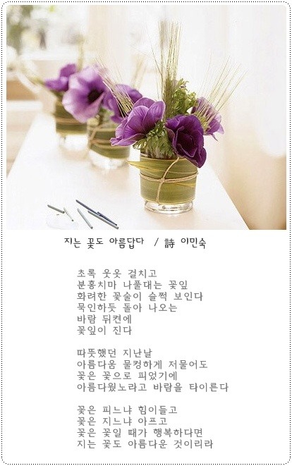 지는 꽃도 아름답다