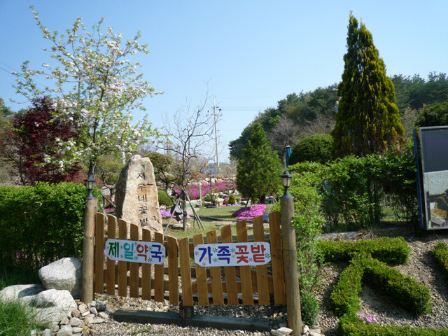 지우네꽃밭 이미지