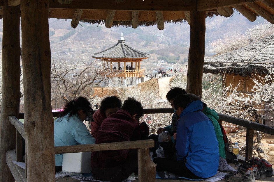 정자농원 이미지
