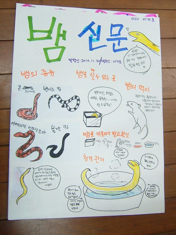 6학년 실과-- 애완동물 기르기 (1)
