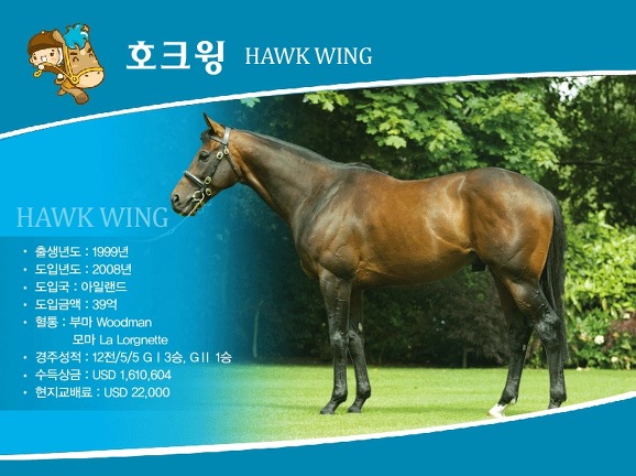 호크 이미지