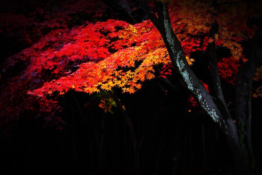산다는 것은