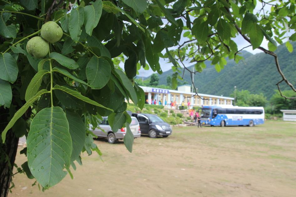 착한먹거리 이미지