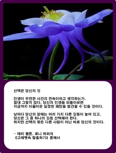 211CEF4057BA6D980D81FE