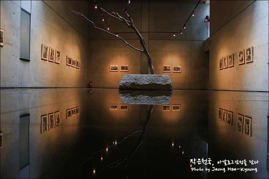 [제주] 찍기만 하면 작품이 되던 2박3일 제주여행 