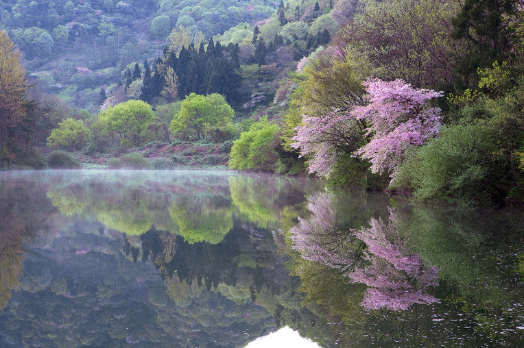 21608A4952A50E000D4FD7