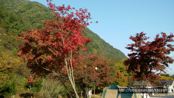 월악산오토캠핑장 이미지