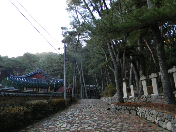 금강공원의 조그만 성역, 임진동래의총
