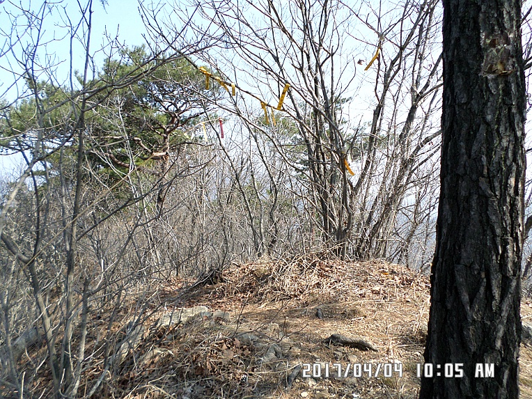하송 이미지