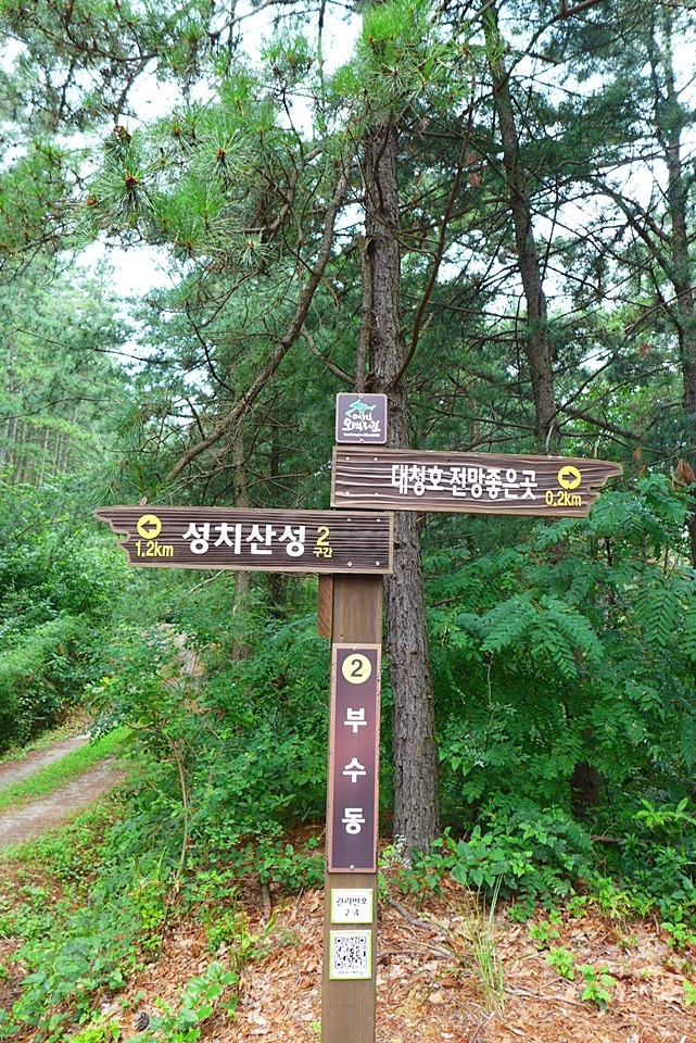 찬샘 이미지