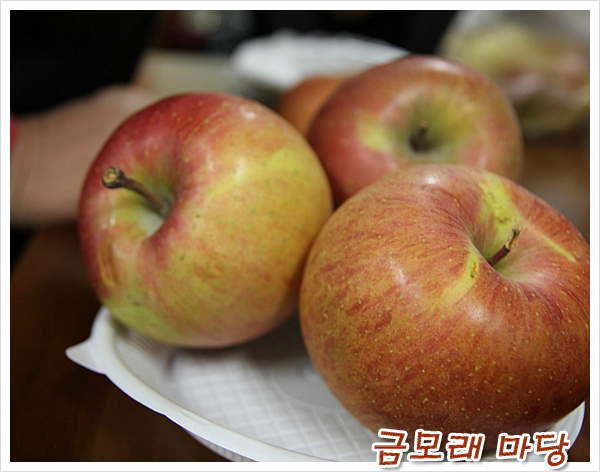김제 용인농원 이미지