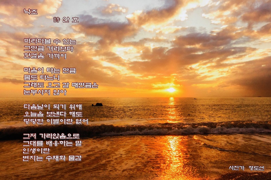 낙조     (안호) 