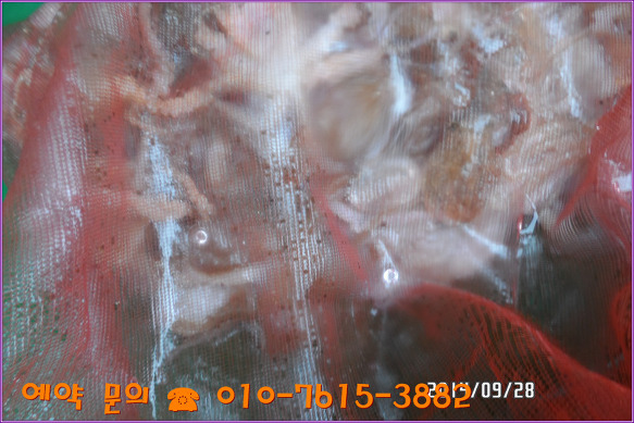 22689743542809062E21A6