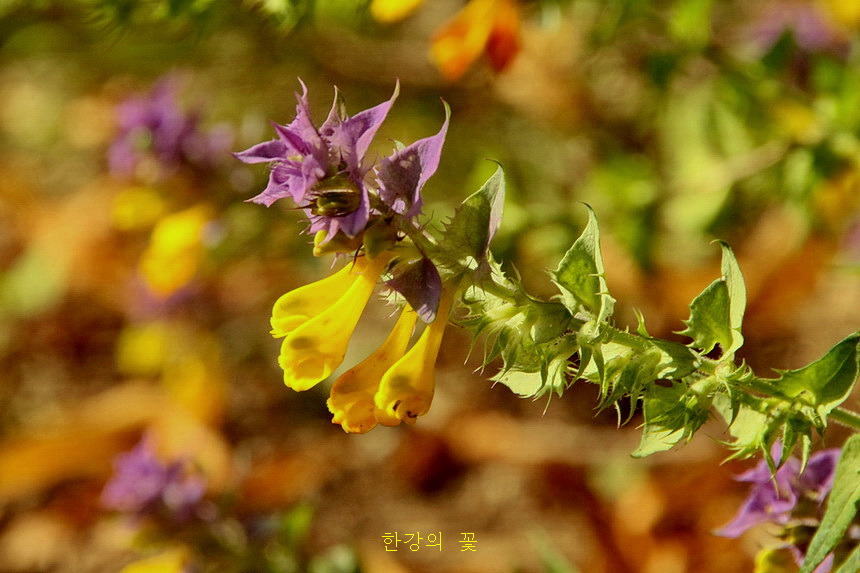 Night and Day