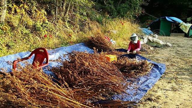 2015년 농사를 위한 2014년의 농사일지