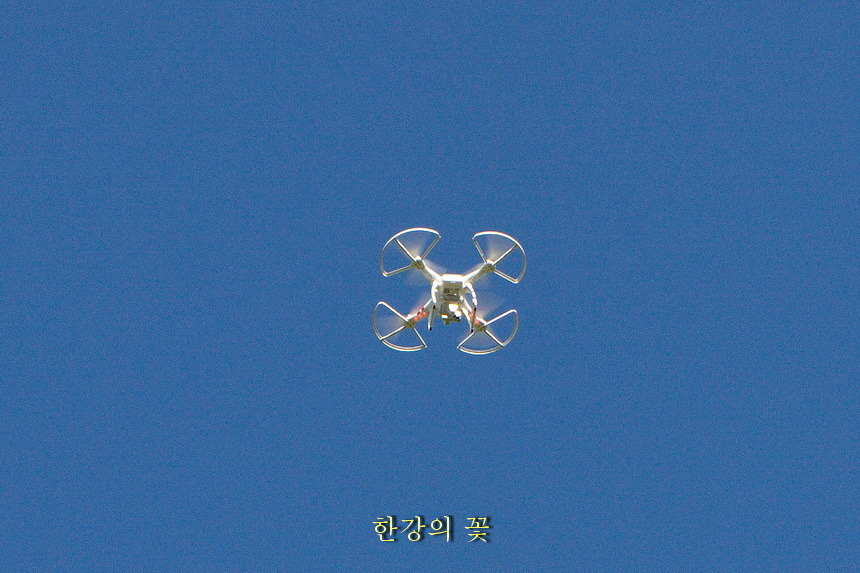 드론(Drone)