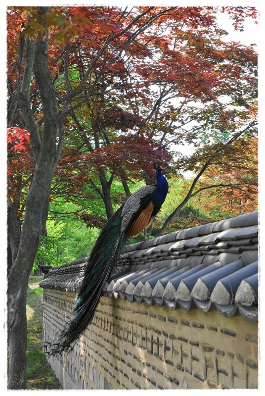 미와 이미지