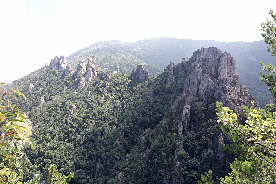 대전 산악회 8월의 넷째 주 "사진 10선"